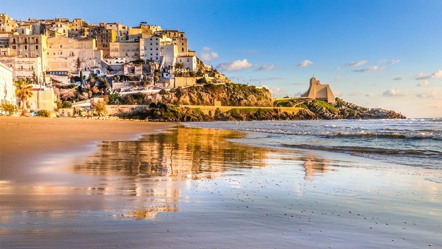 WhatsApp Image 2025-11-03 at 1.00.47 PM